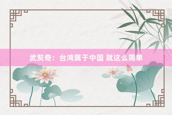 武契奇：台湾属于中国 就这么简单