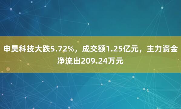 申昊科技大跌5.72%，成交额1.25亿元，主力资金净流出209.24万元