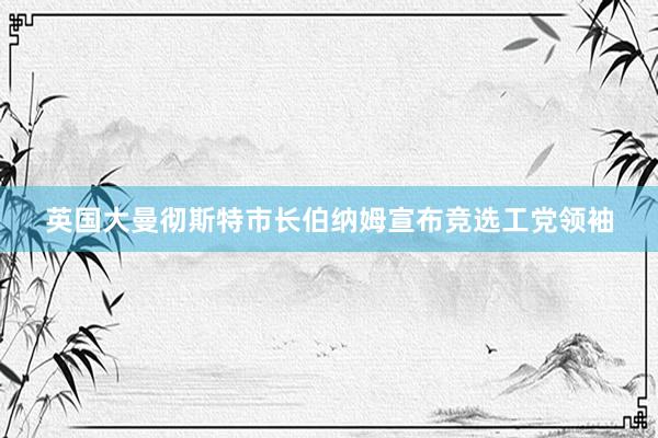 英国大曼彻斯特市长伯纳姆宣布竞选工党领袖
