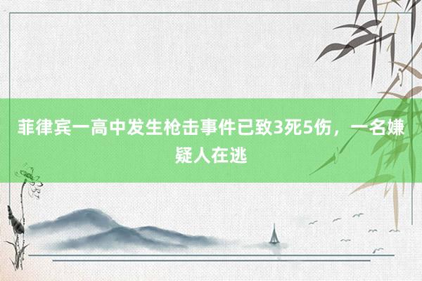 菲律宾一高中发生枪击事件已致3死5伤，一名嫌疑人在逃