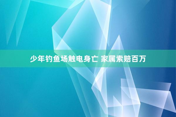 少年钓鱼场触电身亡 家属索赔百万