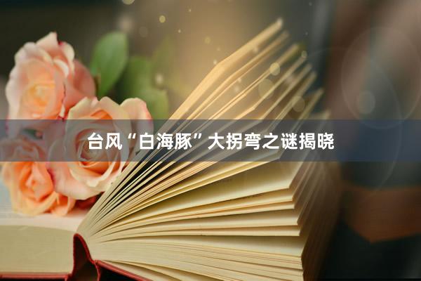 台风“白海豚”大拐弯之谜揭晓