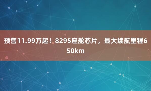 预售11.99万起！8295座舱芯片，最大续航里程650km
