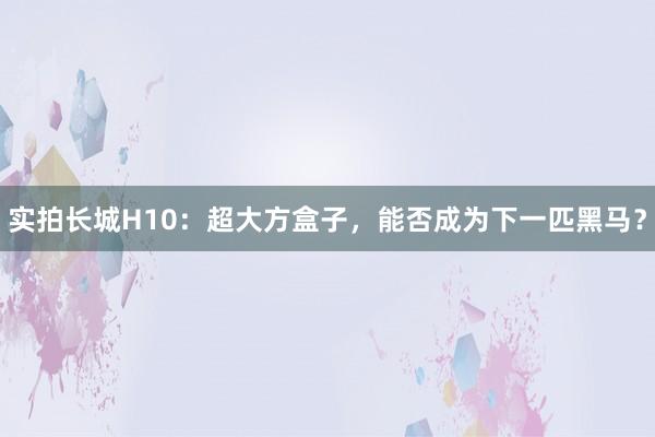 实拍长城H10：超大方盒子，能否成为下一匹黑马？