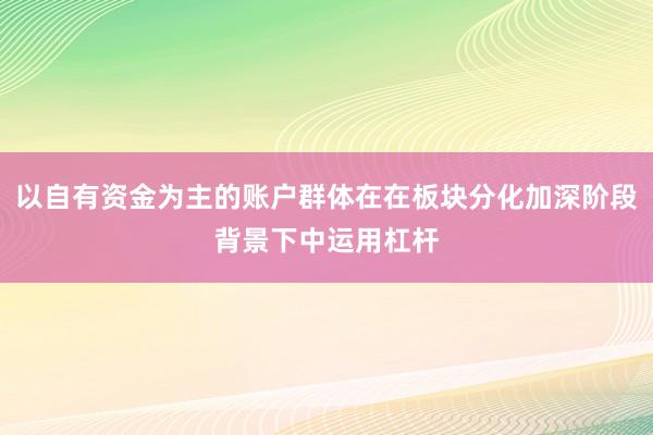 以自有资金为主的账户群体在在板块分化加深阶段背景下中运用杠杆
