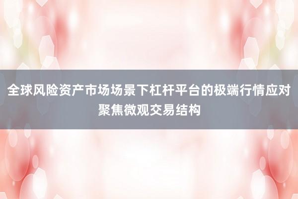 全球风险资产市场场景下杠杆平台的极端行情应对聚焦微观交易结构