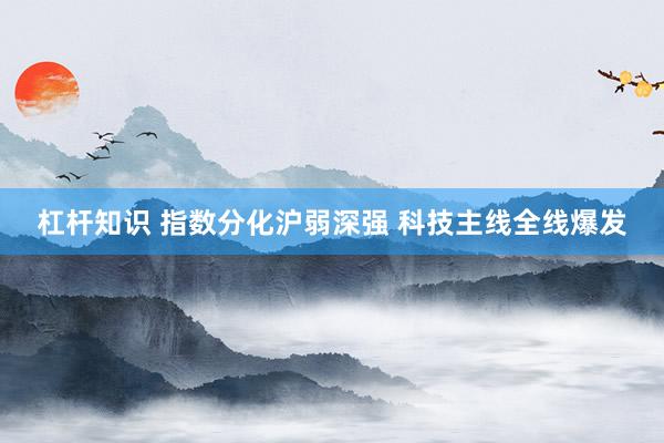 杠杆知识 指数分化沪弱深强 科技主线全线爆发