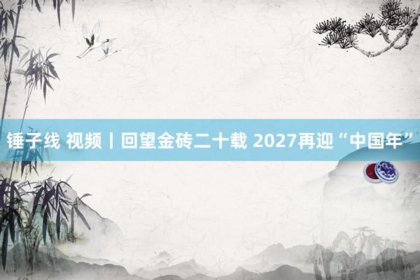 锤子线 视频丨回望金砖二十载 2027再迎“中国年”