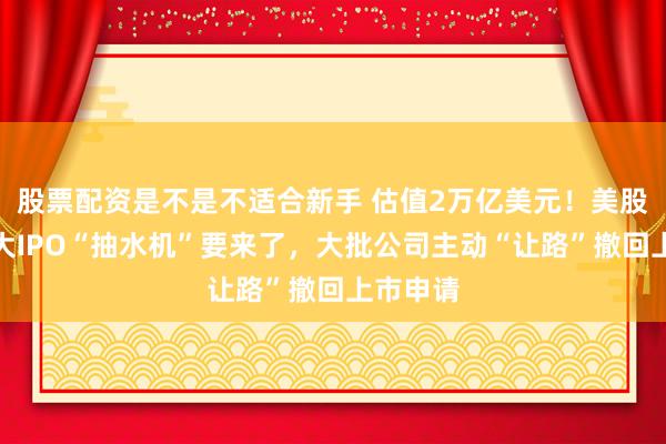 股票配资是不是不适合新手 估值2万亿美元！美股史上最大IPO“抽水机”要来了，大批公司主动“让路”撤回上市申请